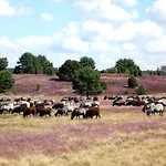 Hillmer Lägenhet