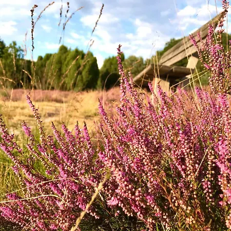 Heideapartments Hillmer Lägenhet Bispingen