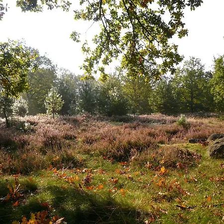 Hillmer Appartement *