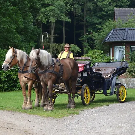 Hillmer Appartement Bispingen