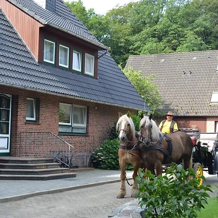 Hillmer Heideapartments