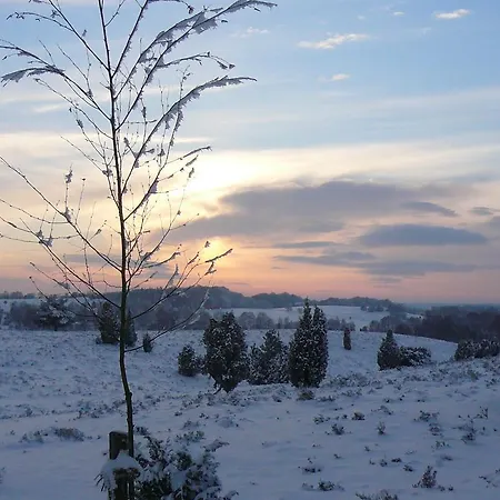 Hillmer Appartement Bispingen