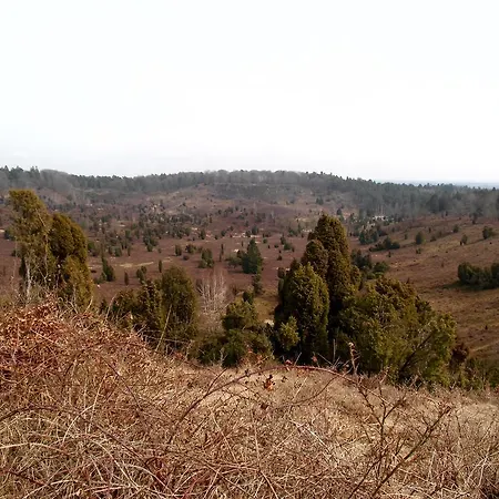 Appartement Hillmer *