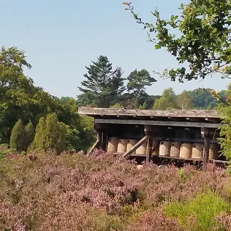 Hillmer Appartement Bispingen