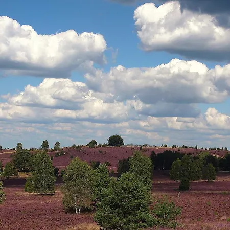 Hillmer Appartement Bispingen